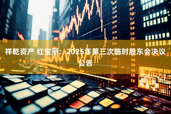 祥乾资产 红宝丽：2025年第三次临时股东会决议公告