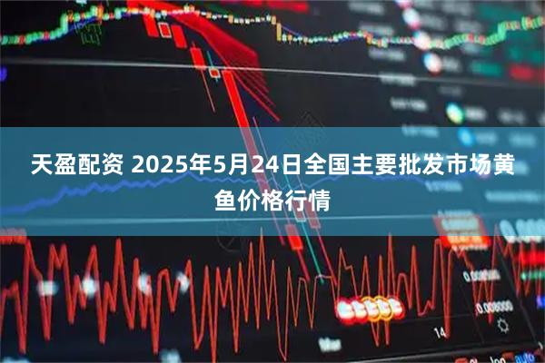天盈配资 2025年5月24日全国主要批发市场黄鱼价格行情