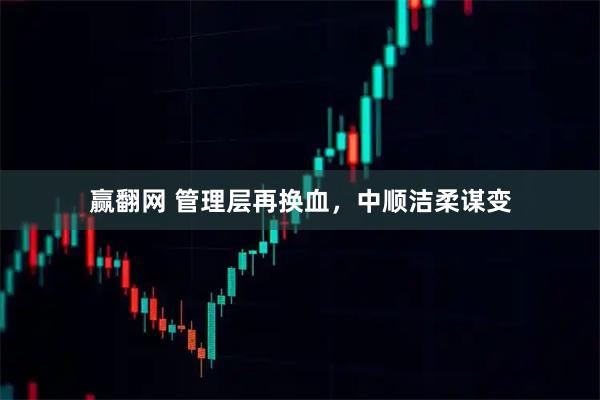 赢翻网 管理层再换血，中顺洁柔谋变