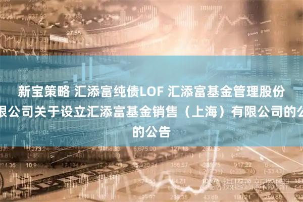 新宝策略 汇添富纯债LOF 汇添富基金管理股份有限公司关于设立汇添富基金销售（上海）有限公司的公告