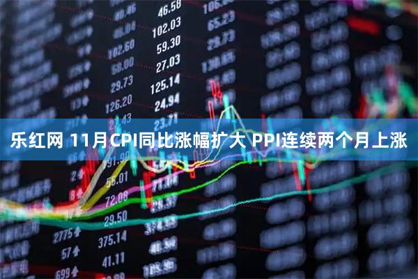 乐红网 11月CPI同比涨幅扩大 PPI连续两个月上涨