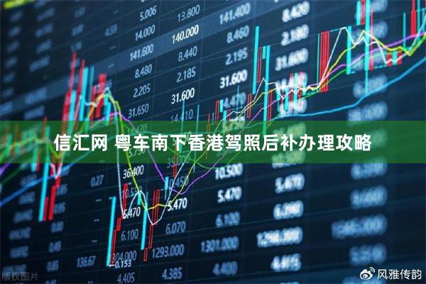 信汇网 粤车南下香港驾照后补办理攻略