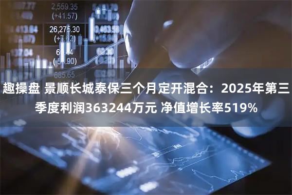 趣操盘 景顺长城泰保三个月定开混合：2025年第三季度利润363244万元 净值增长率519%