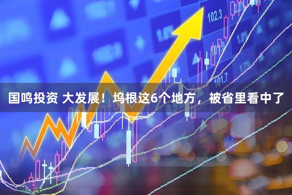 国鸣投资 大发展！坞根这6个地方，被省里看中了